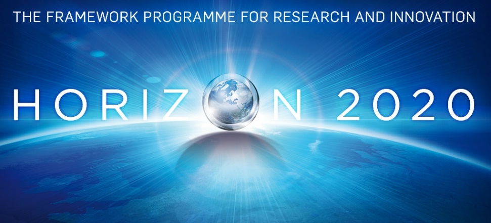 H2020 Work Programme 2014-2015 IMG4/ EREA/ EASN expectations and recommendations